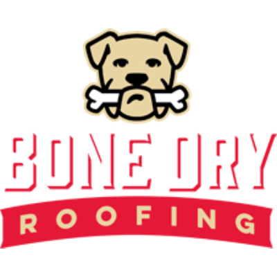 Bone Dry Solar logo