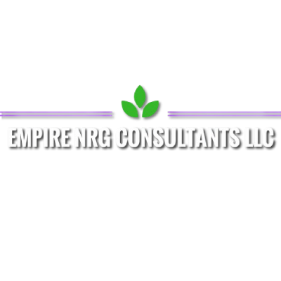 Empire NRG Consultants logo