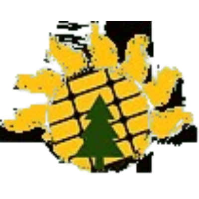 The Solar Scouts logo